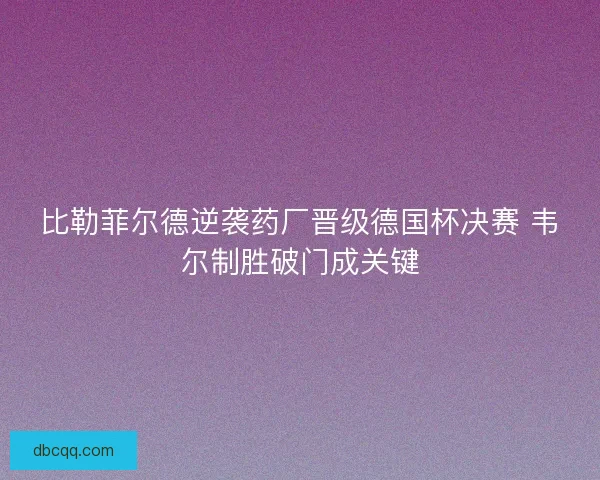 比勒菲尔德逆袭药厂晋级德国杯决赛 韦尔制胜破门成关键